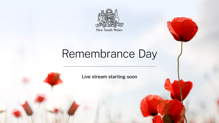 Remembrance Day 2023 Nsw Government